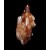 Quartz with Hematite, Tinjdad - Morocco M04226